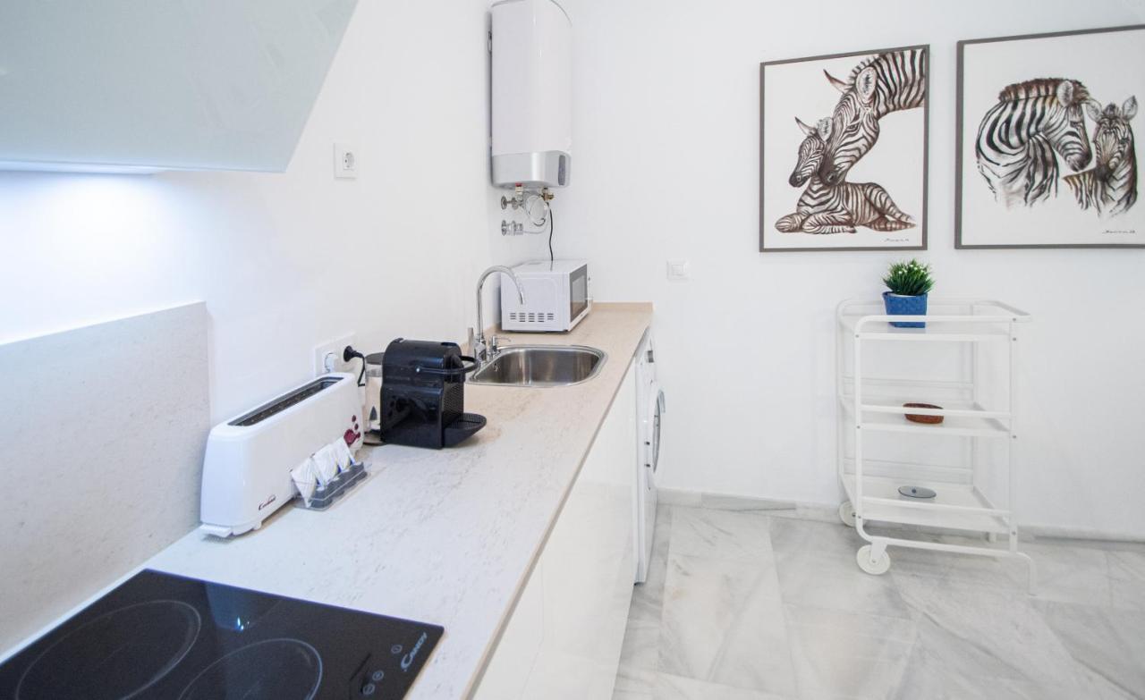 Apartamento Animalia 加的斯 外观 照片